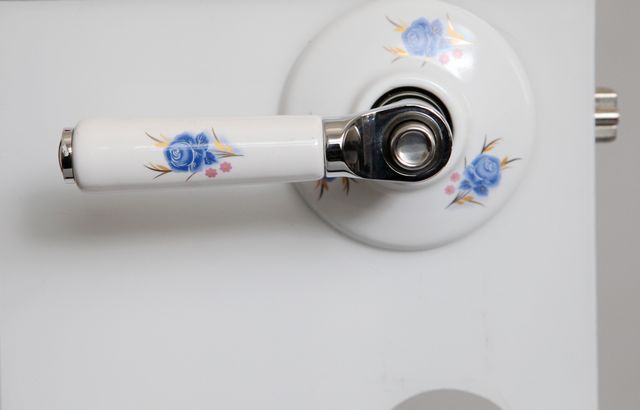 DT20SSZ silvery ceramic handle locks with blue lotus pattern for door