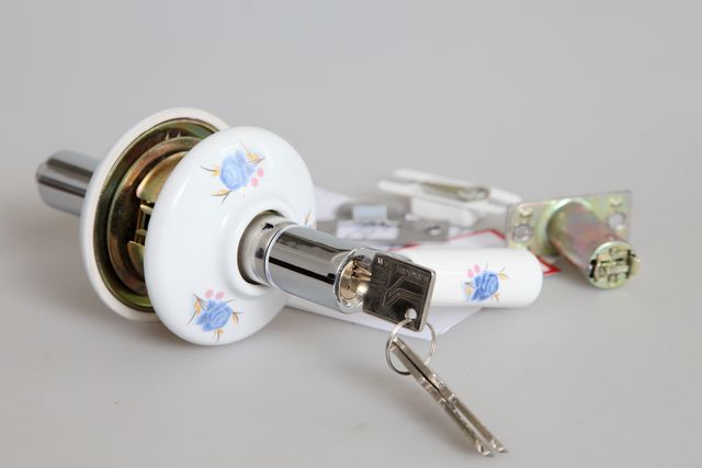 DT20SSZ silvery ceramic handle locks with blue lotus pattern for door