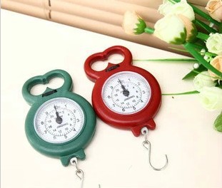 mini Fish type portable scale portable electronic kitchen scale hook spring scale