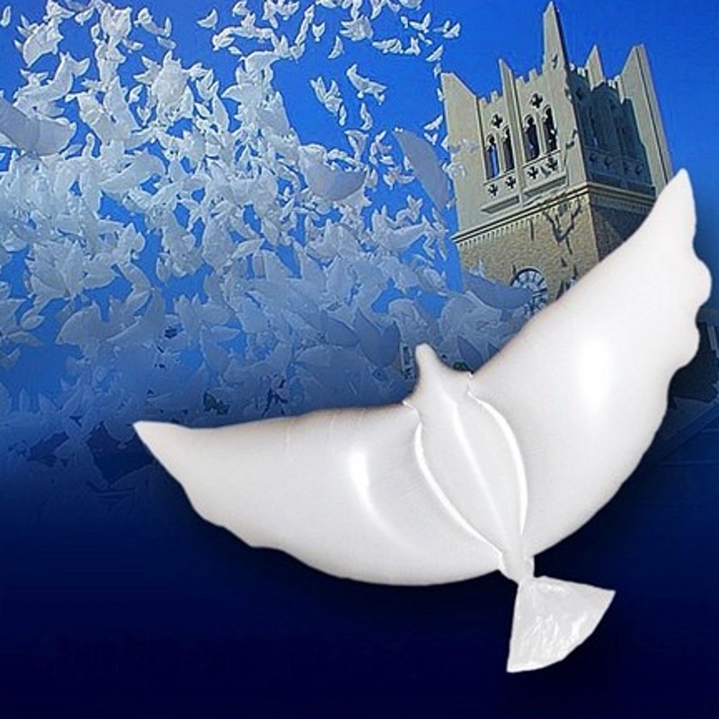 100 pcs/lot helium dove wedding balloon eco flying white dove balloon for partiesdecoration white dove balloon - Click Image to Close