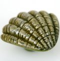 M5028 bronzed seashell cartoon resin knobs for drawer/cabinet