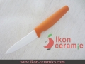 China Ceramic Knives,4 inch 100% Zirconia Ikon Ceramic Fruit Knife.(AJ-4001W-EO)