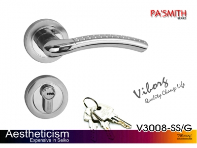 VIBORG Top Quality Security Entry Door Mortise Lever Lock Set, Keyed Entry Door Lock Set, V3008-SS/G
