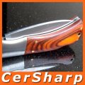 Stainless Steel Folding Pocket Knife For Camping & Hiking #002M