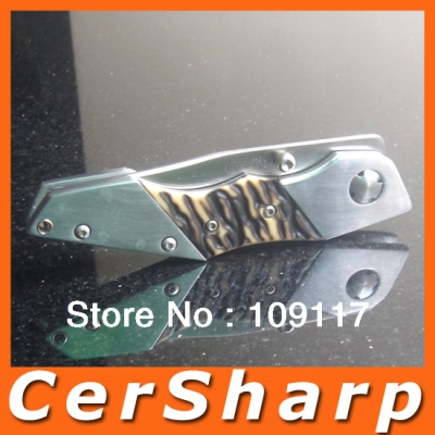 Wholesale - Free Shipping Outdoor Travel Stainless Steel Folding Pocket Knife # 390F