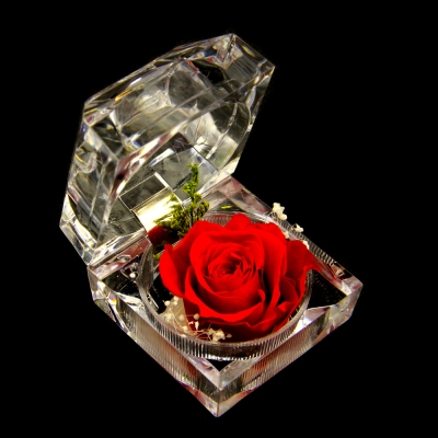 fresh preserved rose flower crystal ring box wedding souvenir valentine's day birthday immortal flowers gifts