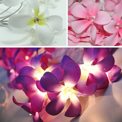 thailand plumeria rubra flower led light string weeding/christmas/new year holiday decoration 2m 20bulbs pink/white color